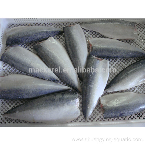 New Season Frozen Pacific Mackerel Fillet Fish